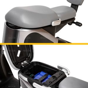 SKUTER ELEKTRYCZNY akumulatorowy CEDRUS C-GO-2G